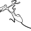 Front Left Door Wiring Harness - Infiniti (24125-6HM0B) 10 Front Left Door Wiring Harness - Infiniti (24125-6HM0B)