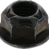 Nut - Infiniti (01223N8011) 5 Nut - Infiniti (01223N8011)