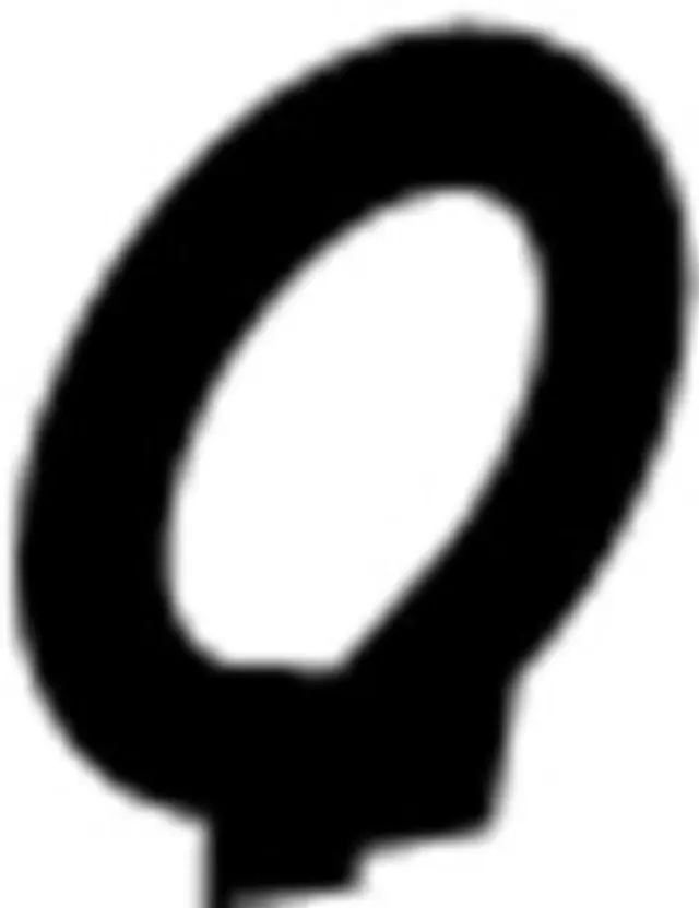 Drive Shaft Snap Ring - Infiniti (3970841W00)