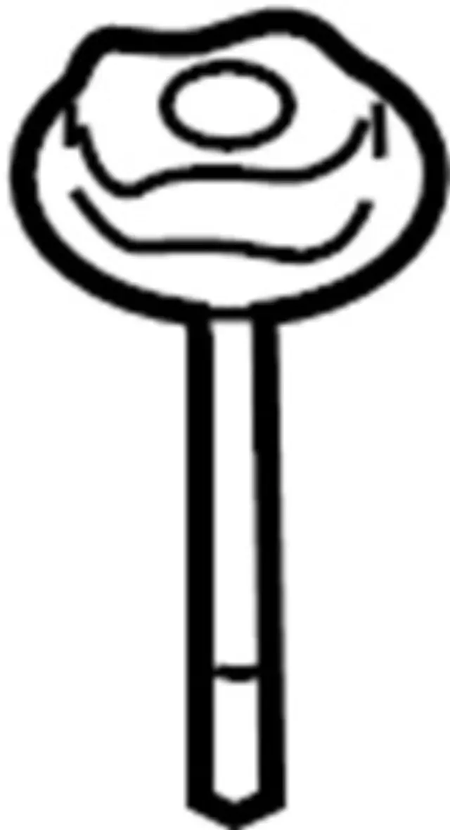Spare Clamp - Infiniti (74810JY04A)